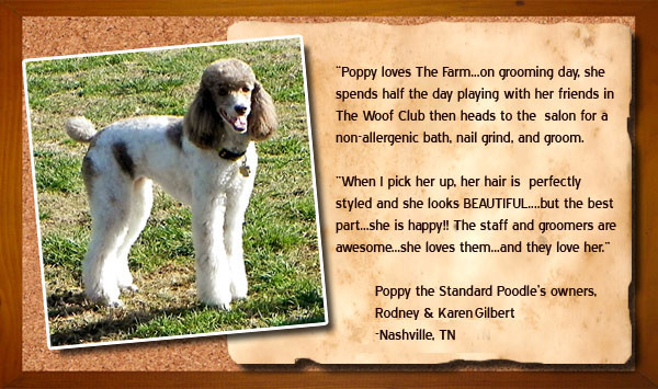 Client Reviews - The Farm At Natchez Tracethe Farm At Natchez Trace