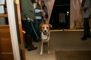 nashville_pet_photography_thefarm-55