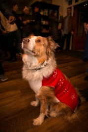 nashville_pet_photography_thefarm-79