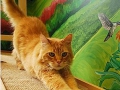 buddy12
