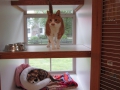 family-condo_0