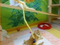 family-fun-2