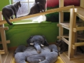 family-playtime-2