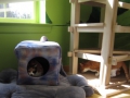 family-time-in-playroom-2