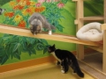 family-time-in-playroom