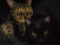 felix-and-oscar