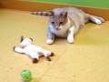 playroom-11