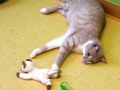 playroom-12