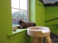 playroom-6