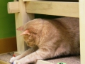 playtime-4