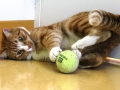 playtime-6