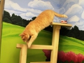 playtime-7