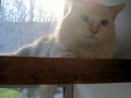 sunshine2
