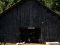 barn