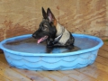 beating-the-heat