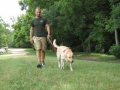 singular-dog-nature-walk-2