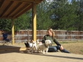 woof-club-small-dog-group-2