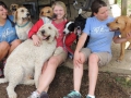 bella-and-buddy