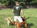 family-playtime-5