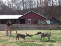 family-tug-time