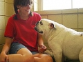 pets_0