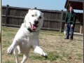 play-time-2