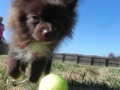 play-time-7