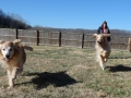 play-time