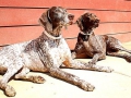 sitting-in-the-sun_0