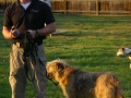 e-collar-and-off-leash-class_jon-stolzer