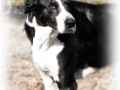 busterw
