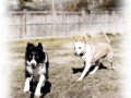 madisonandsparklesn