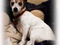molly