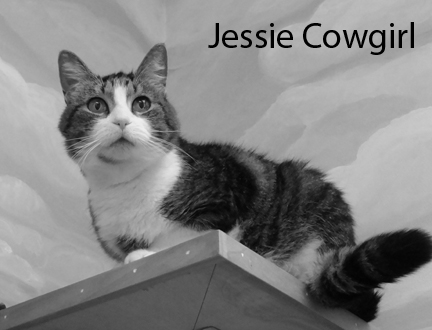 Jessie Cowgirl