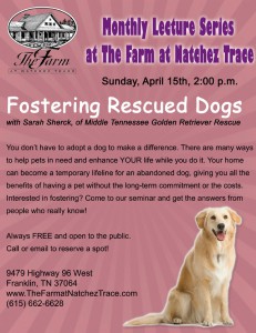 April Pet Matters Seminar: Fostering Rescue Dogs