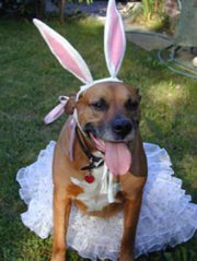 Easter Bone Hunt and Costume Contest