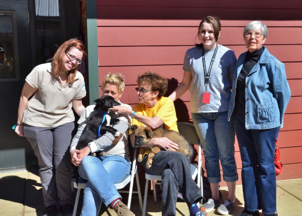 Happy Tale employees & volunteers with two puppies Baby & Bear who were found on the side of the road after their mom had been hit by a car.  (Sarah, Debbi, Annie, K.T., & Susan)