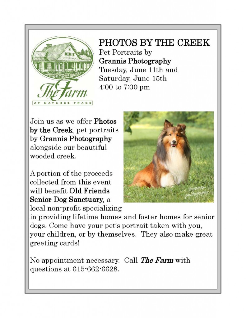 Photos by the Creek flyer