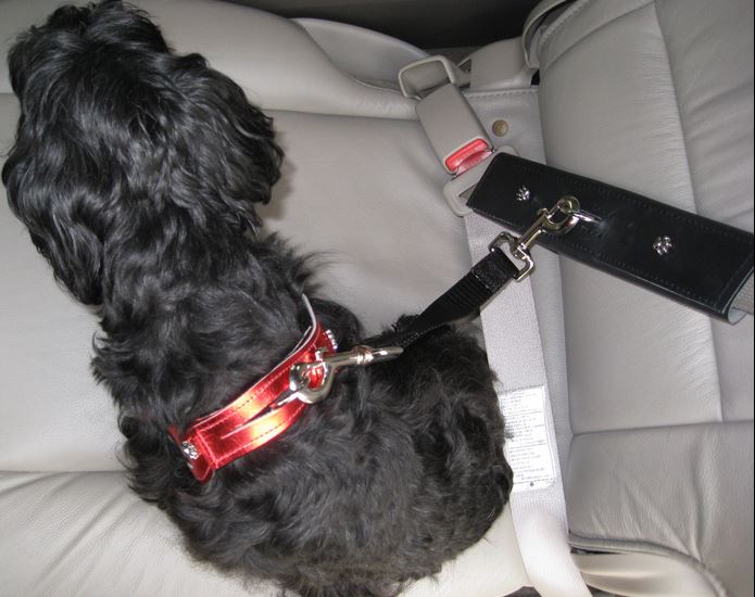 Seat belt adapter