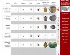Tick Identification Chart for this Region