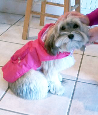 pippa raincoat