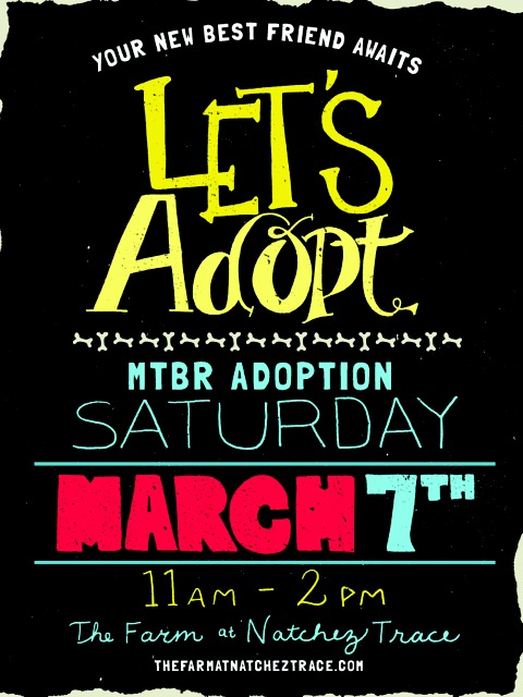 MTBR Adoption Day Flyer
