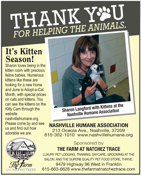 Cat ad for 6-23-2016