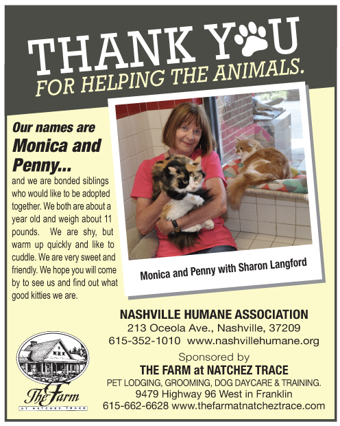 Pet Adoption in Nashville TN